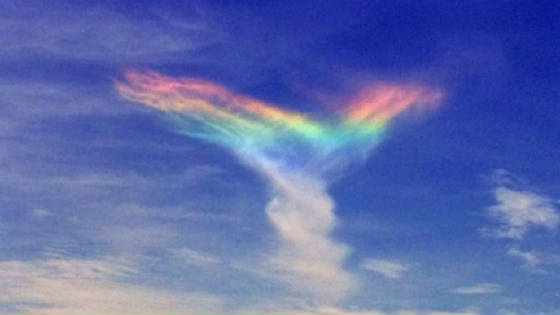 rainbow_wings.jpg